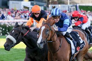 Archo Nacho, Red Anchor Stakes, The Valley Oct 2023 Archo Nacho, Red Anchor Stakes, The Valley Oct 2023